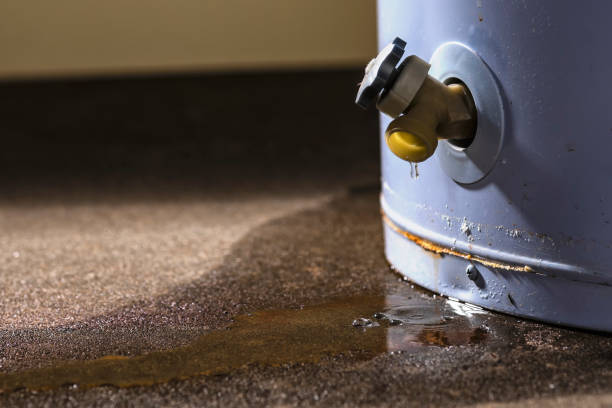 Best Ceiling water damage repair  in Cape Neddick, ME