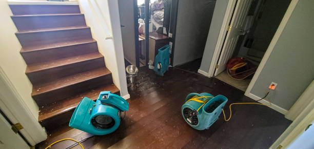 Professional Water damage restoration in Cape Neddick, ME