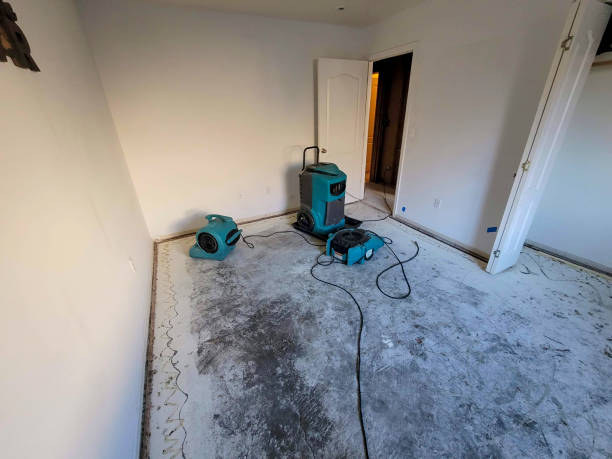 Best Emergency water damage restoration  in Cape Neddick, ME