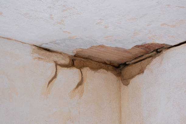 Best Water damage contractors near me  in Cape Neddick, ME