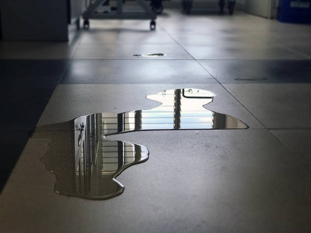 Best Water damage restoration company  in Cape Neddick, ME