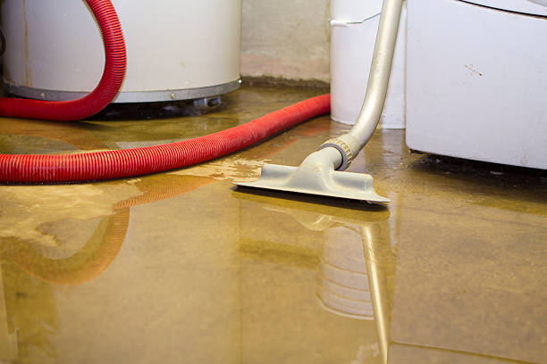 Best Flooded house restoration  in Cape Neddick, ME