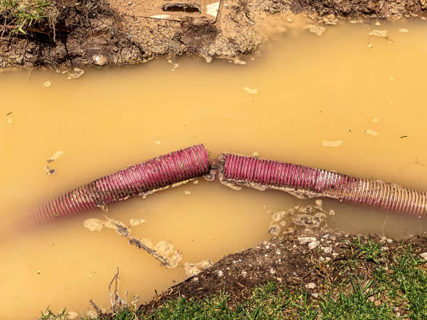 Best Emergency water damage restoration  in Cape Neddick, ME